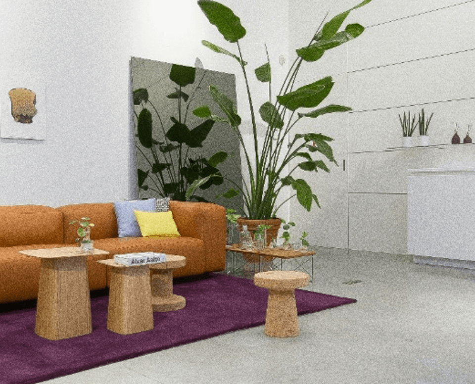 1xBet Partner APK Download iOS